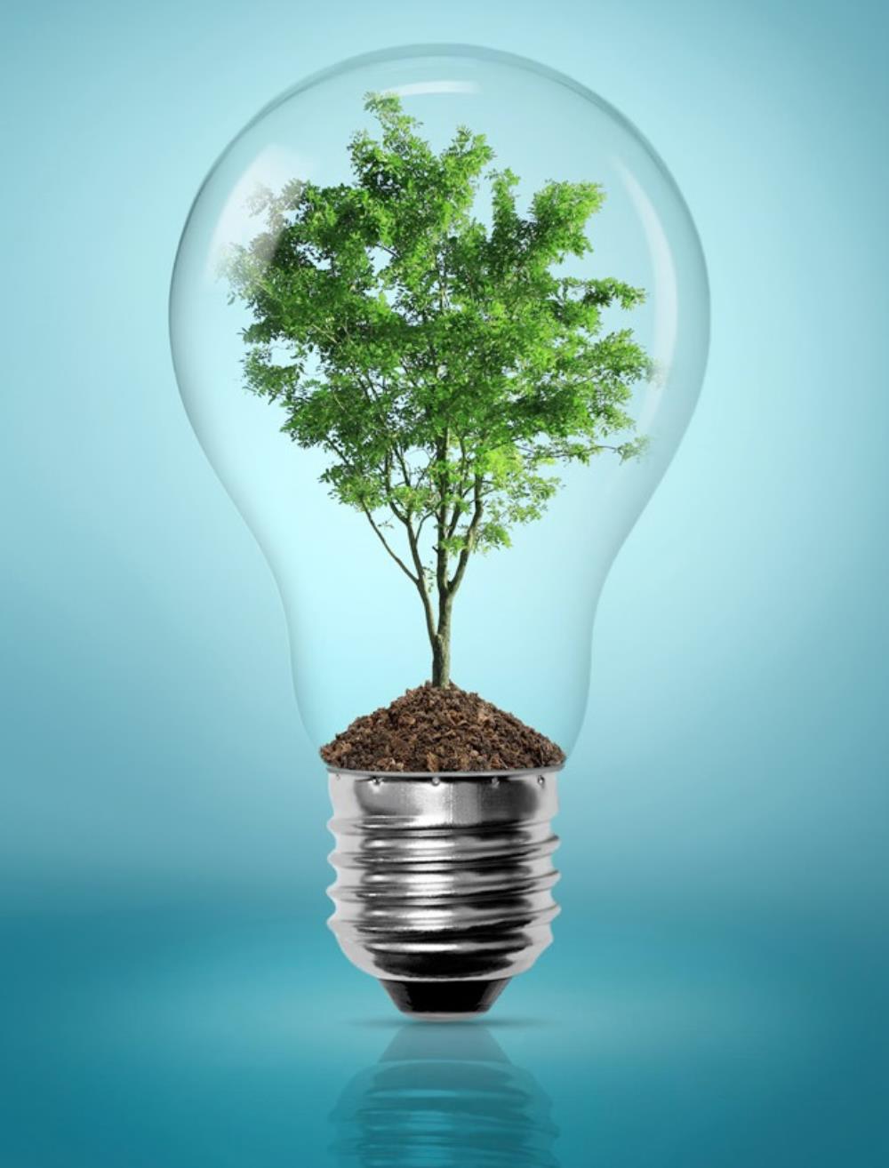 Take Advantage of Energy Rebates While You Can!